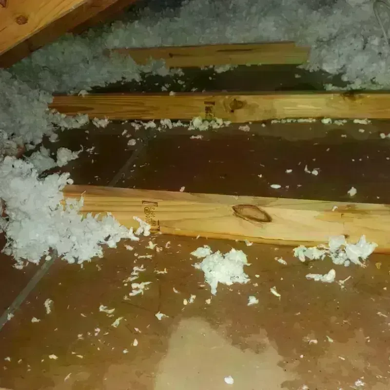 Attic Water Damage in Eagleton Village, TN