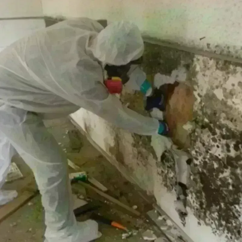 Mold Remediation and Removal in Eagleton Village, TN